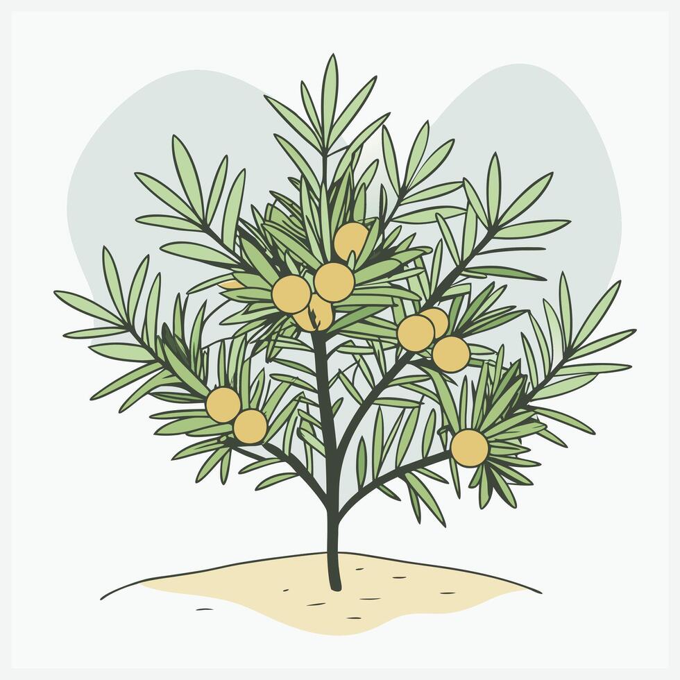 Majestic Yew Tree Illustration vector