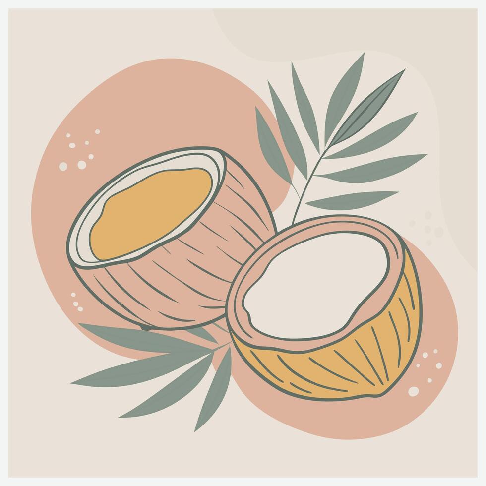 Coconut Fruit Illustration vector