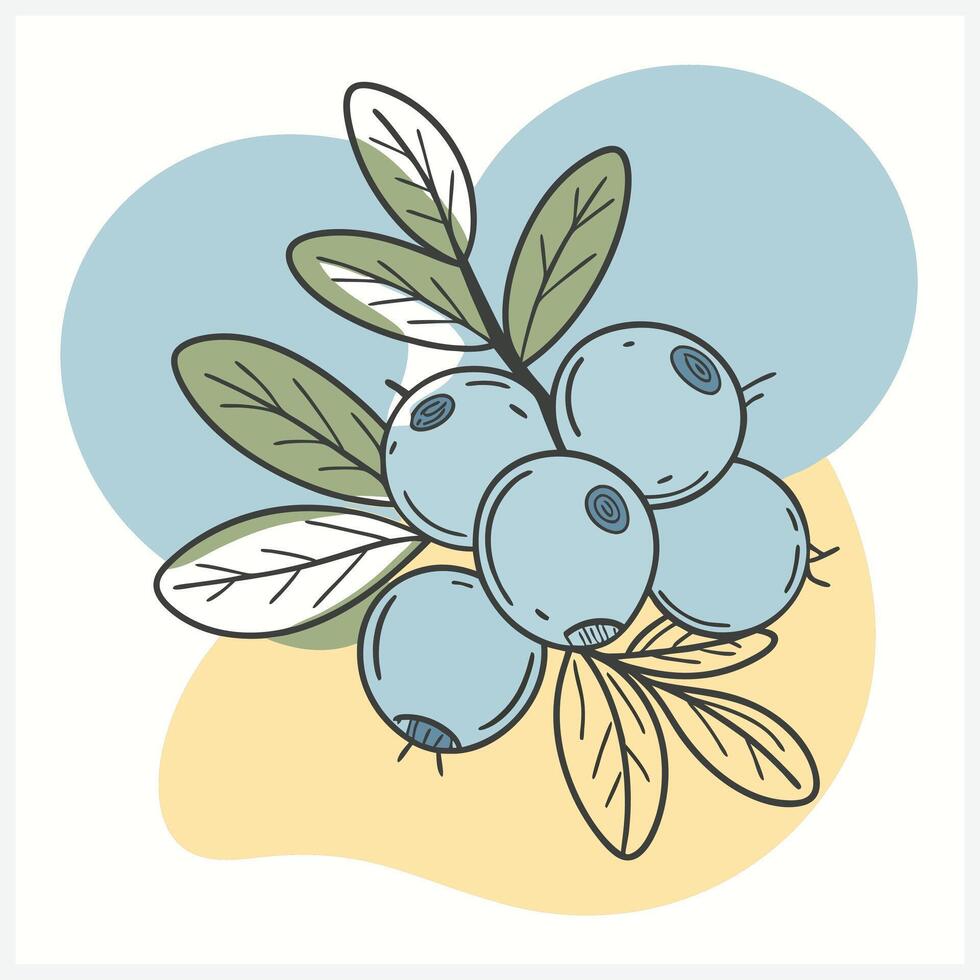 Crowberry Fruit Illustration vector