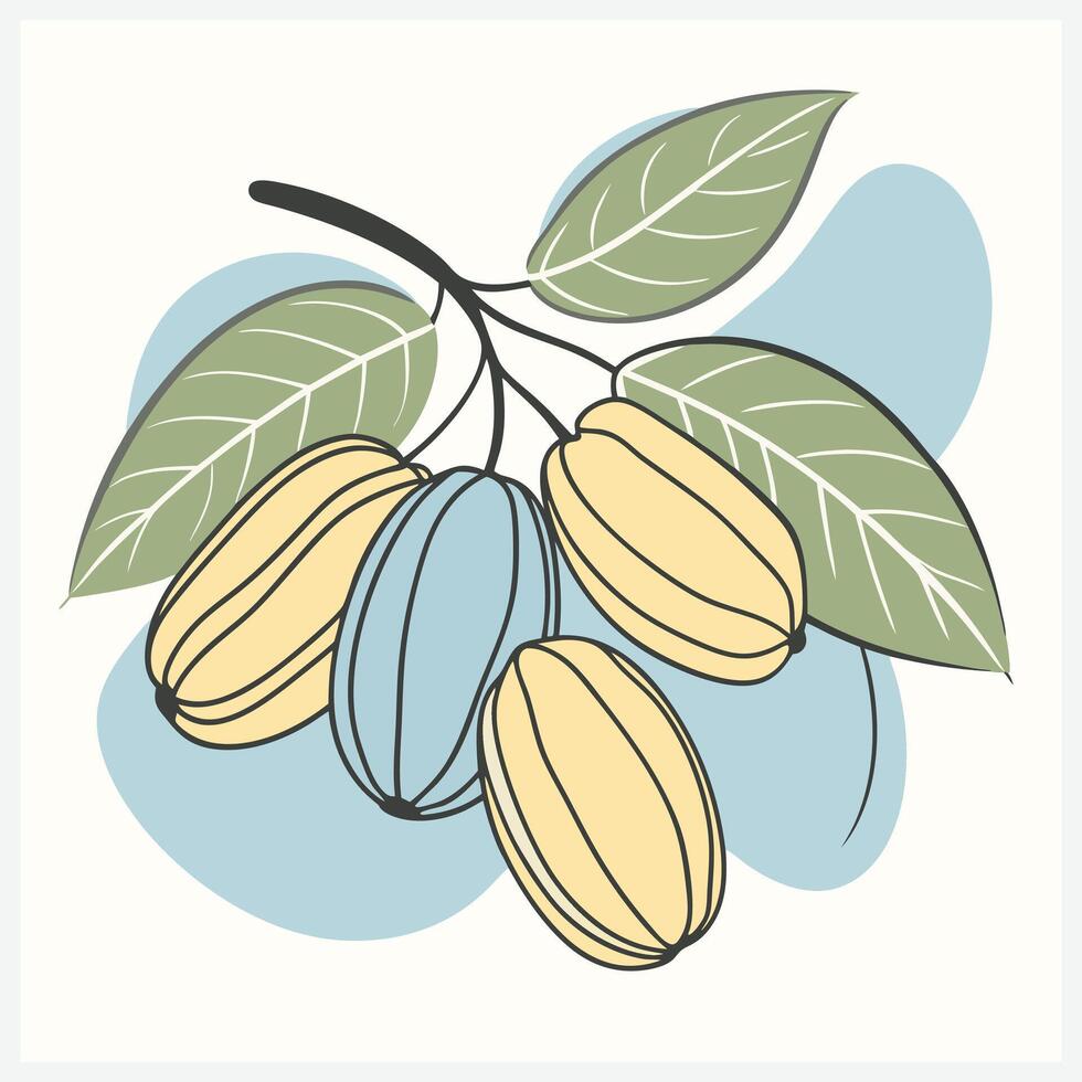 Vibrant Bilimbi Fruit Illustration vector