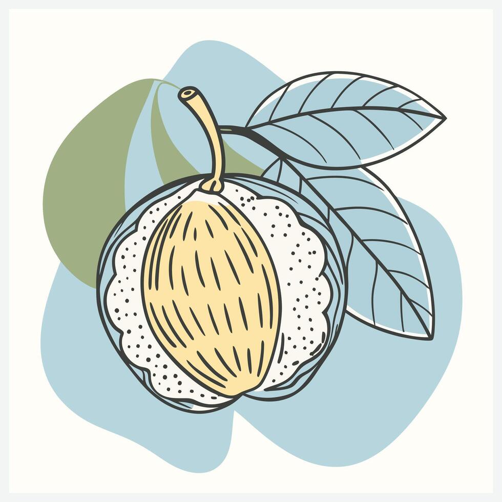 Cuppa Apple Fruit Illustration, Vibrant and Fresh Design for Your Creative Projects vector
