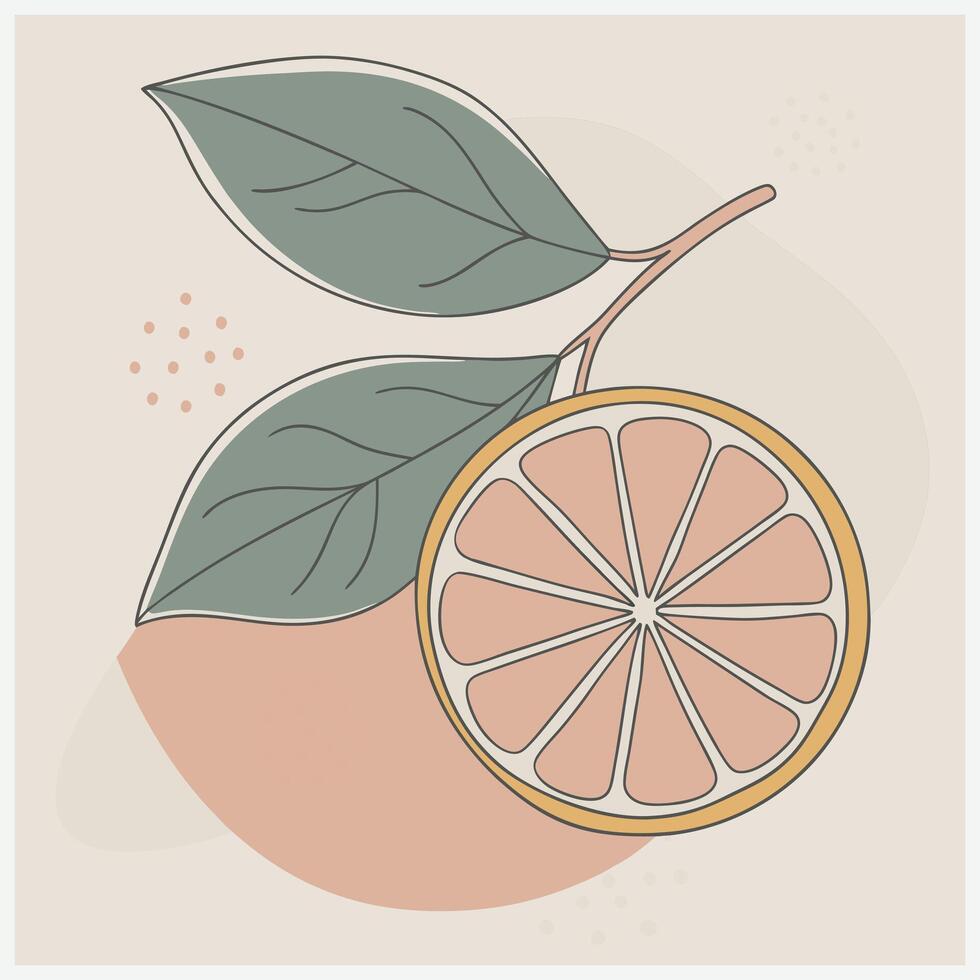Vibrant Desert Lime Fruit Illustration vector