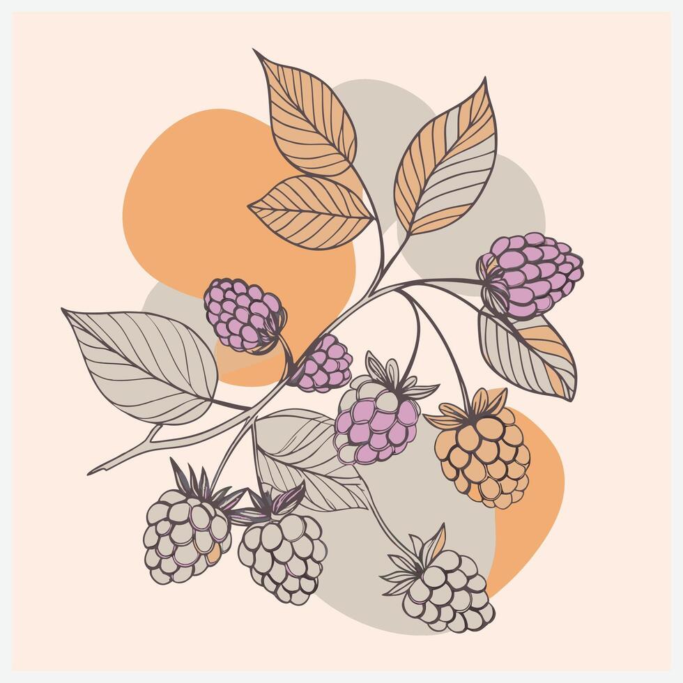 Delicious Blackberry Fruit Illustration vector