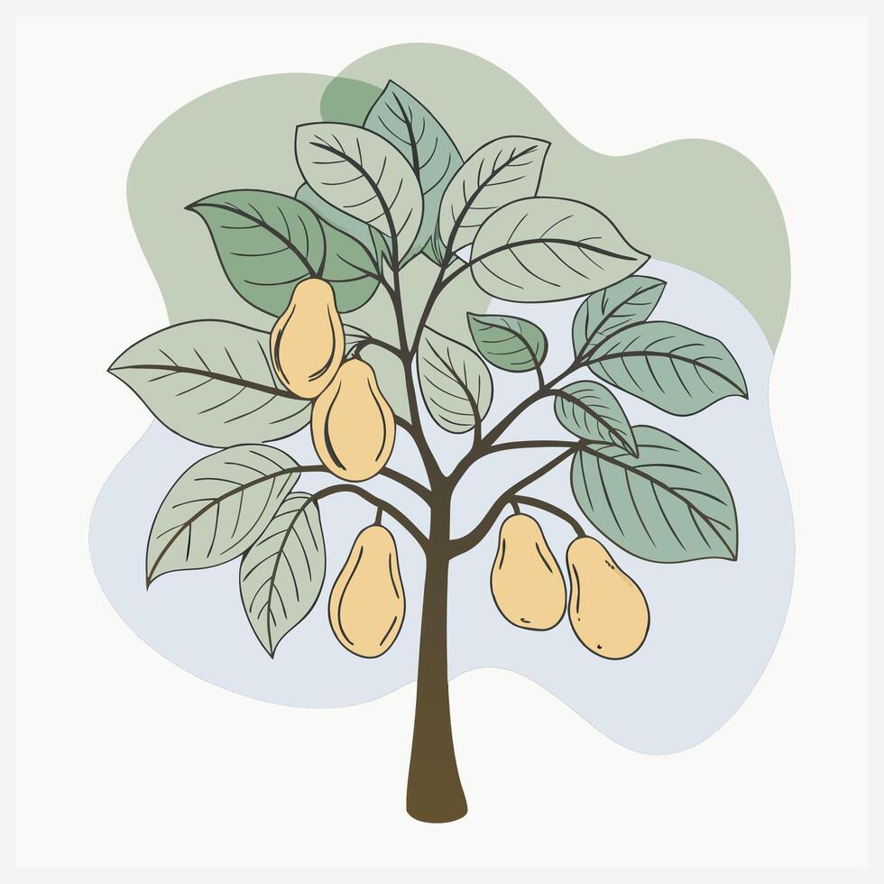 Majestic Pawpaw Tree Illustration A Detailed Botanical Masterpiece. vector