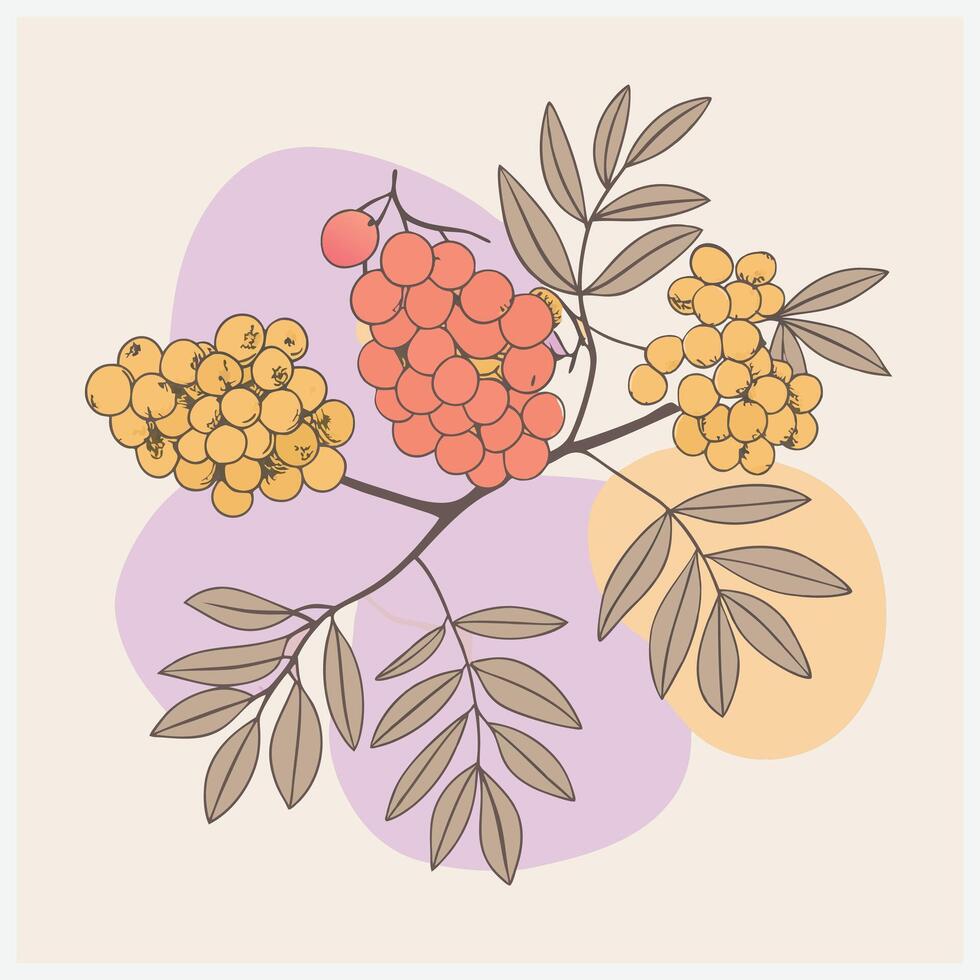 Majestic Rowan Tree Illustration vector