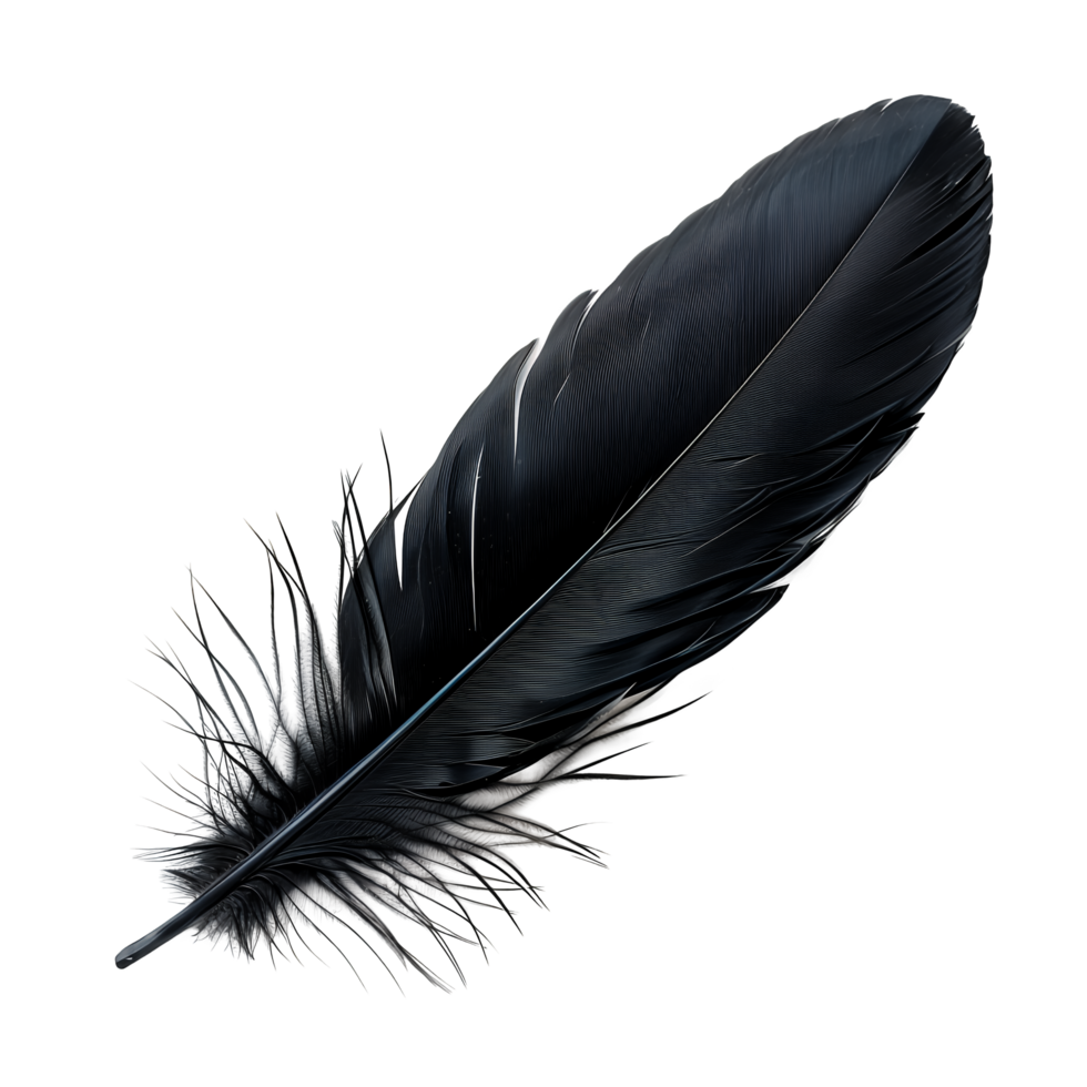 Black Feather Isolated on Transparent Background png
