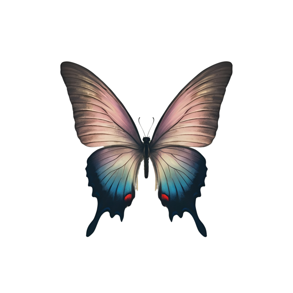 Beautiful Butterfly Isolated on a Transparent Background png
