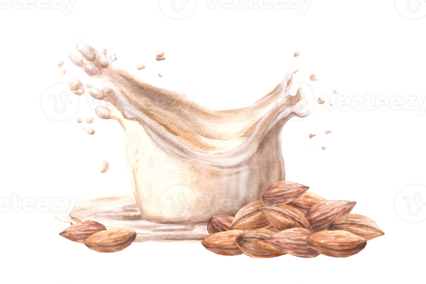 Almond milk drink and milk splash. Watercolor Almond nut pureed on a background of yogurt, cream. Plant based, soy based vegan drink. Vegetarian product label. Hand-drawn composition of food Isolated png