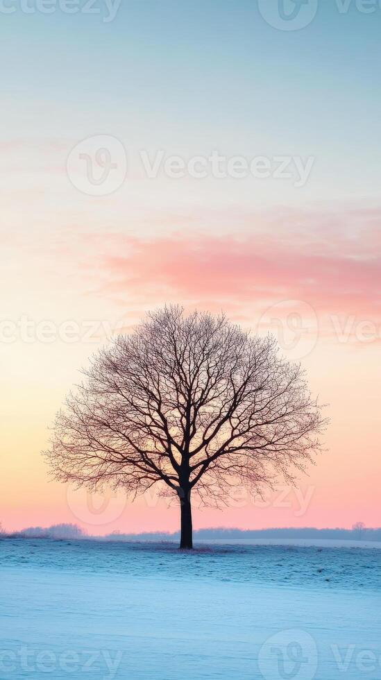 Single tree against a colorful twilight sky in winter photo