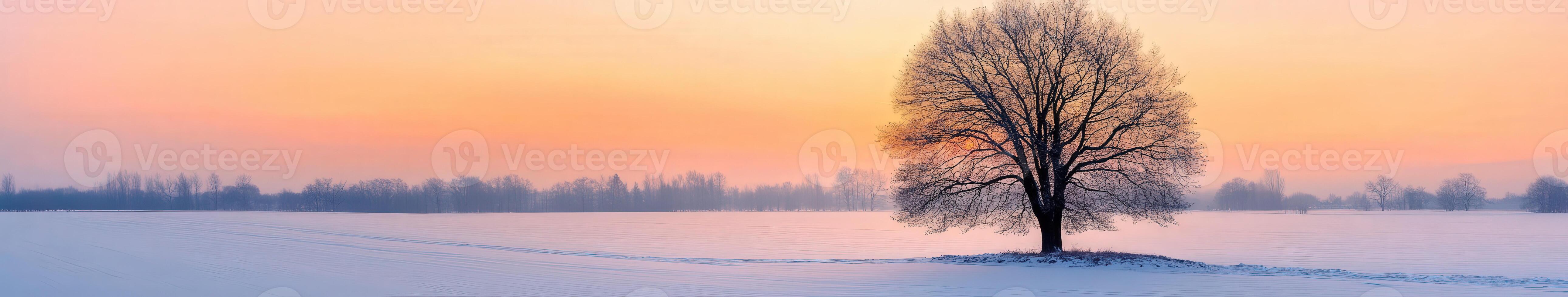 Lonely tree on snow-covered field at sunrise photo