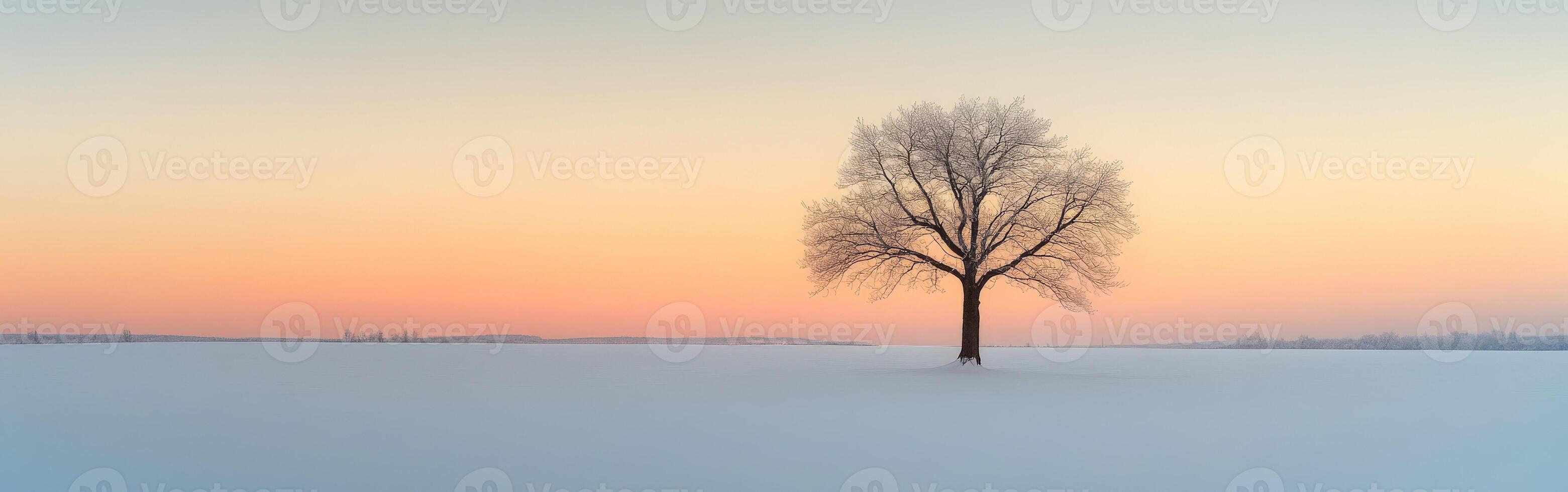 Lonely tree in a snowy field at sunset during winter photo