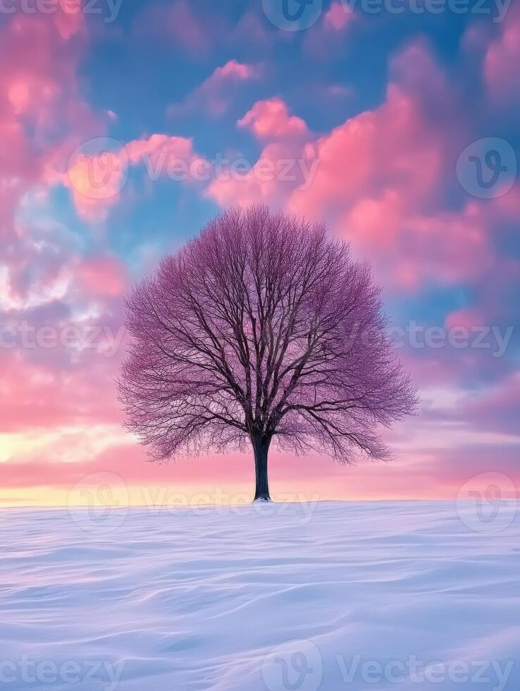 A single pink tree in a snowy landscape at sunset photo