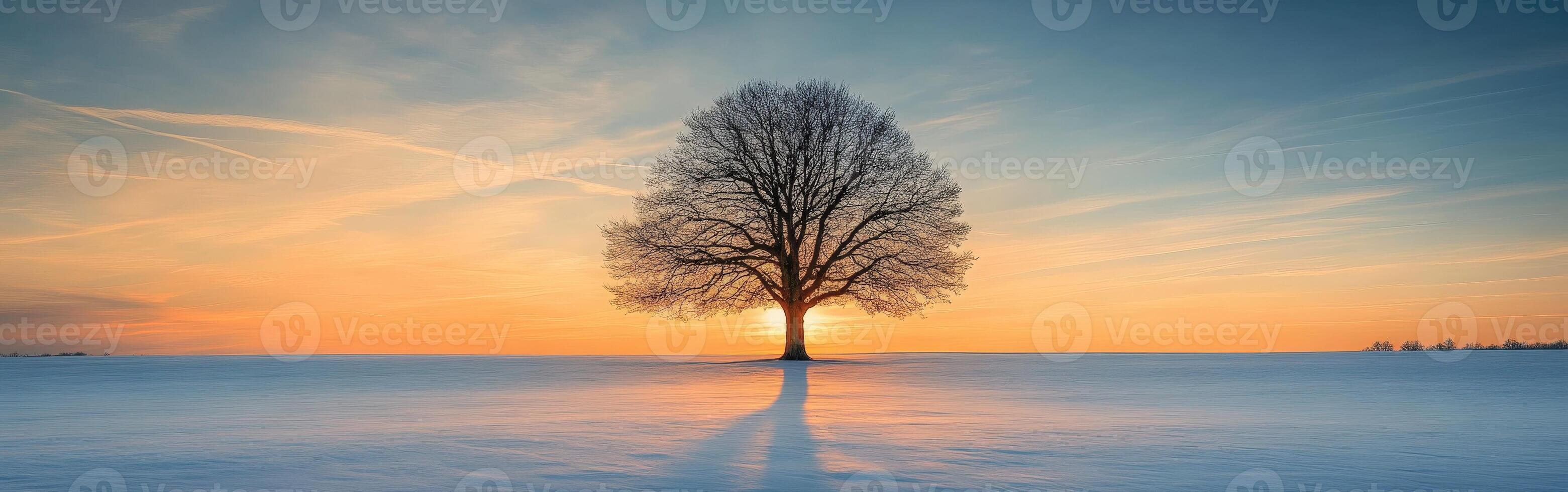 Sunset casts shadows from a lone tree on a snowy field photo