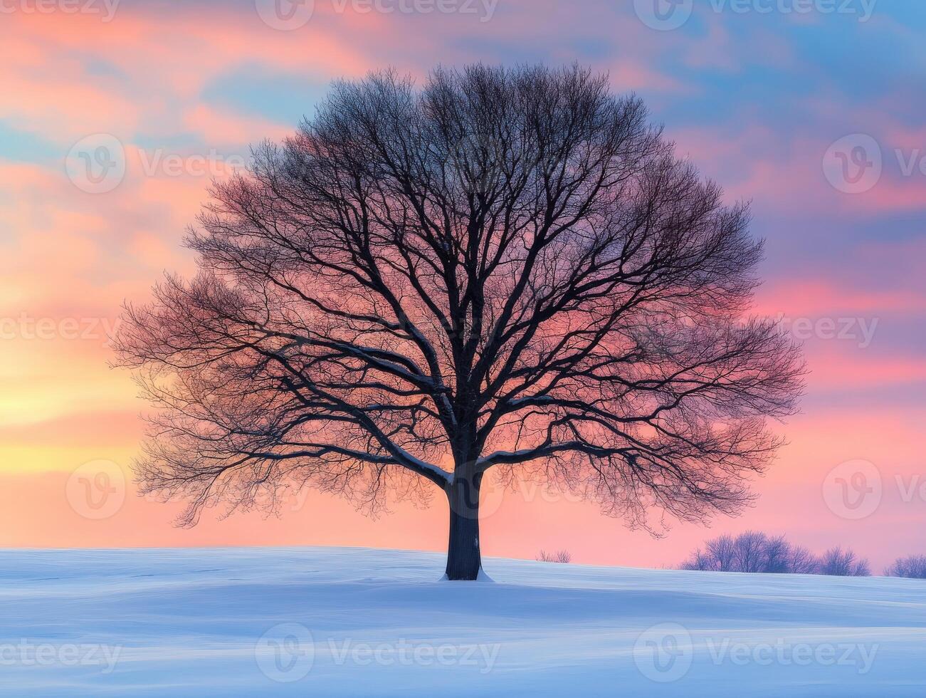 Snow-covered landscape with a solitary tree at sunset photo