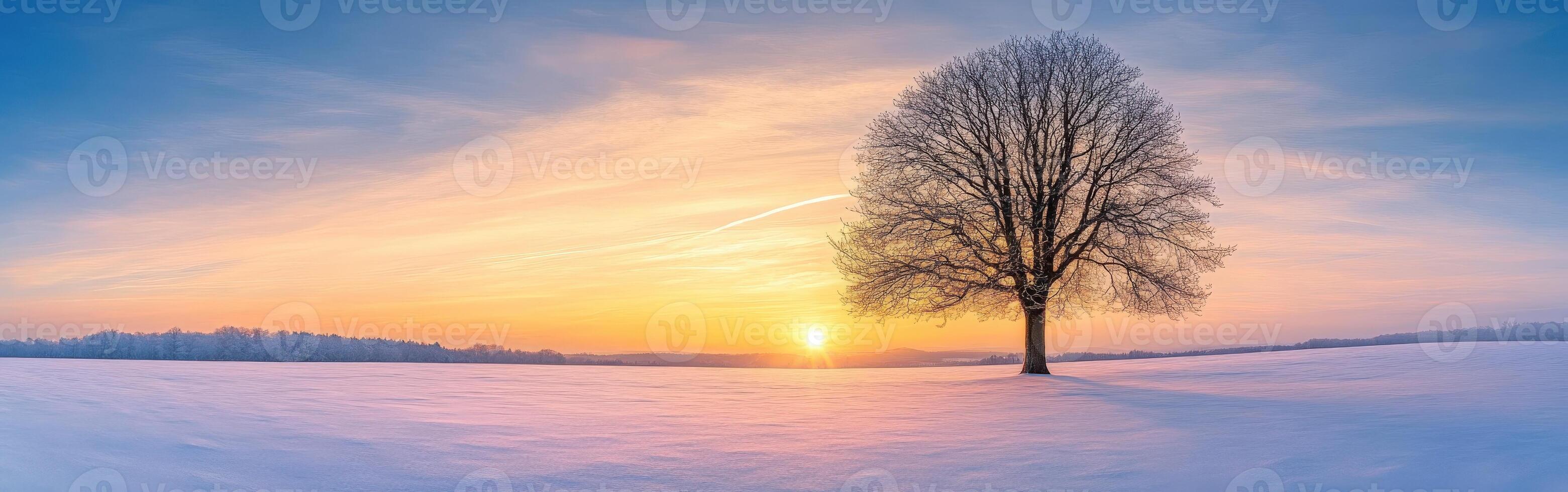 Solitary tree during sunrise in a snowy landscape photo