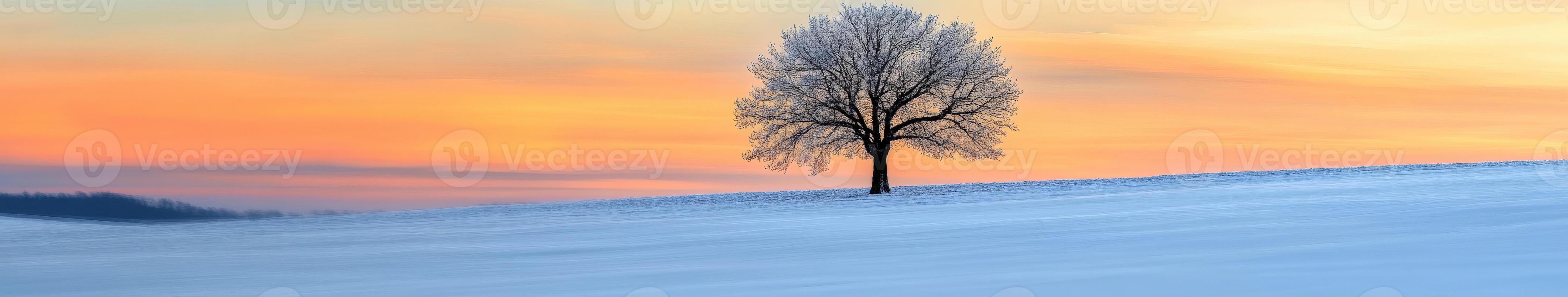 Solitary tree in snowy field during a colorful sunset photo