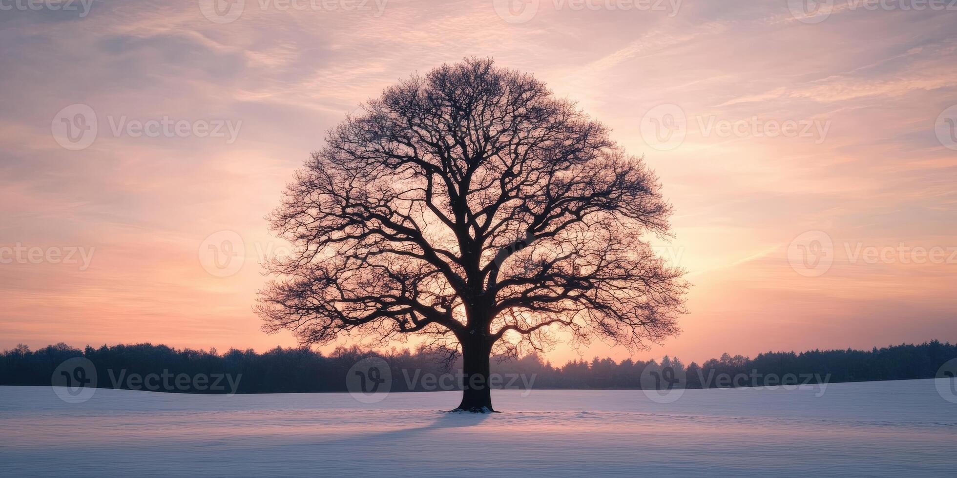 Lone tree in a snow-covered field at sunset photo