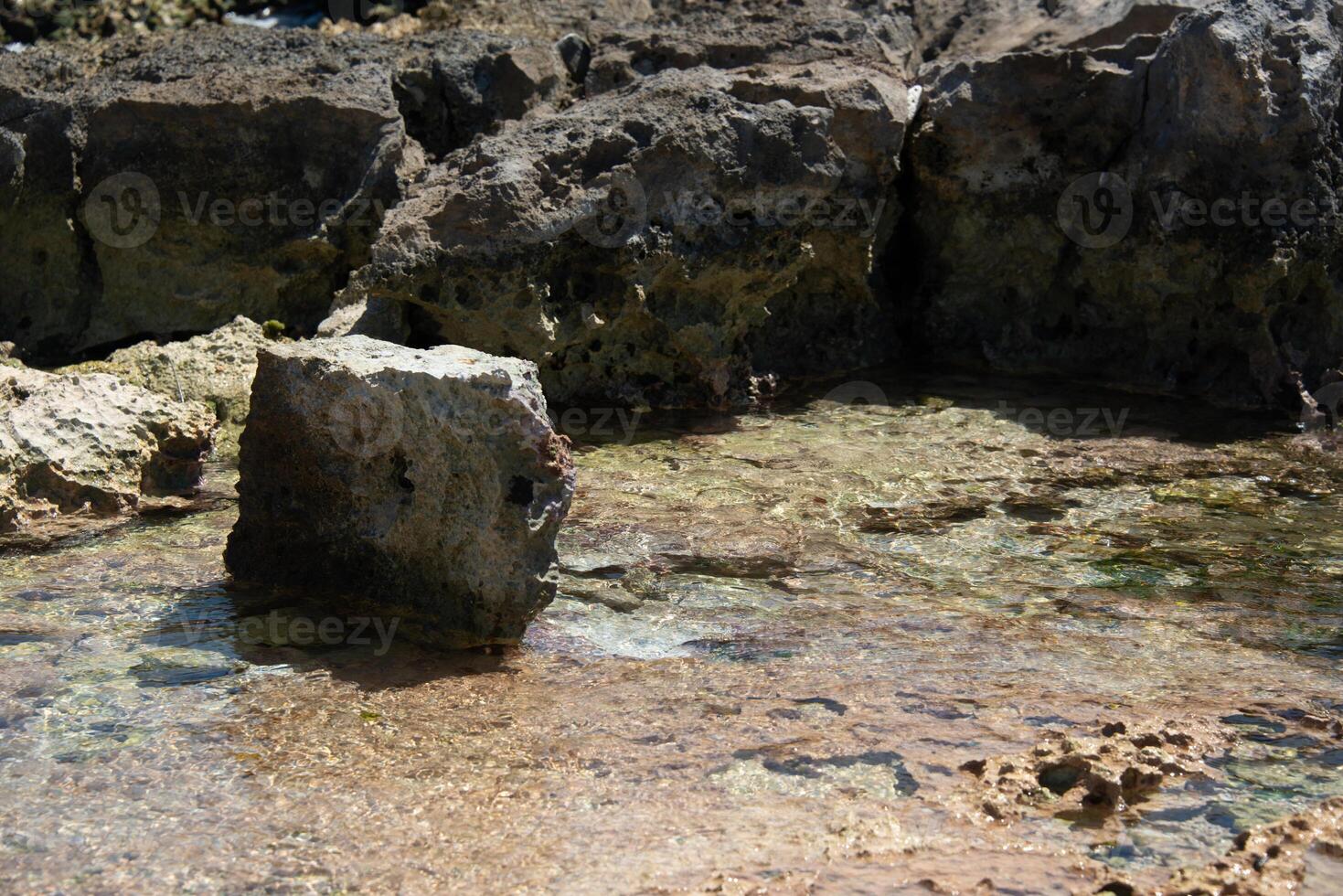 Rocky beach in Akumal photo