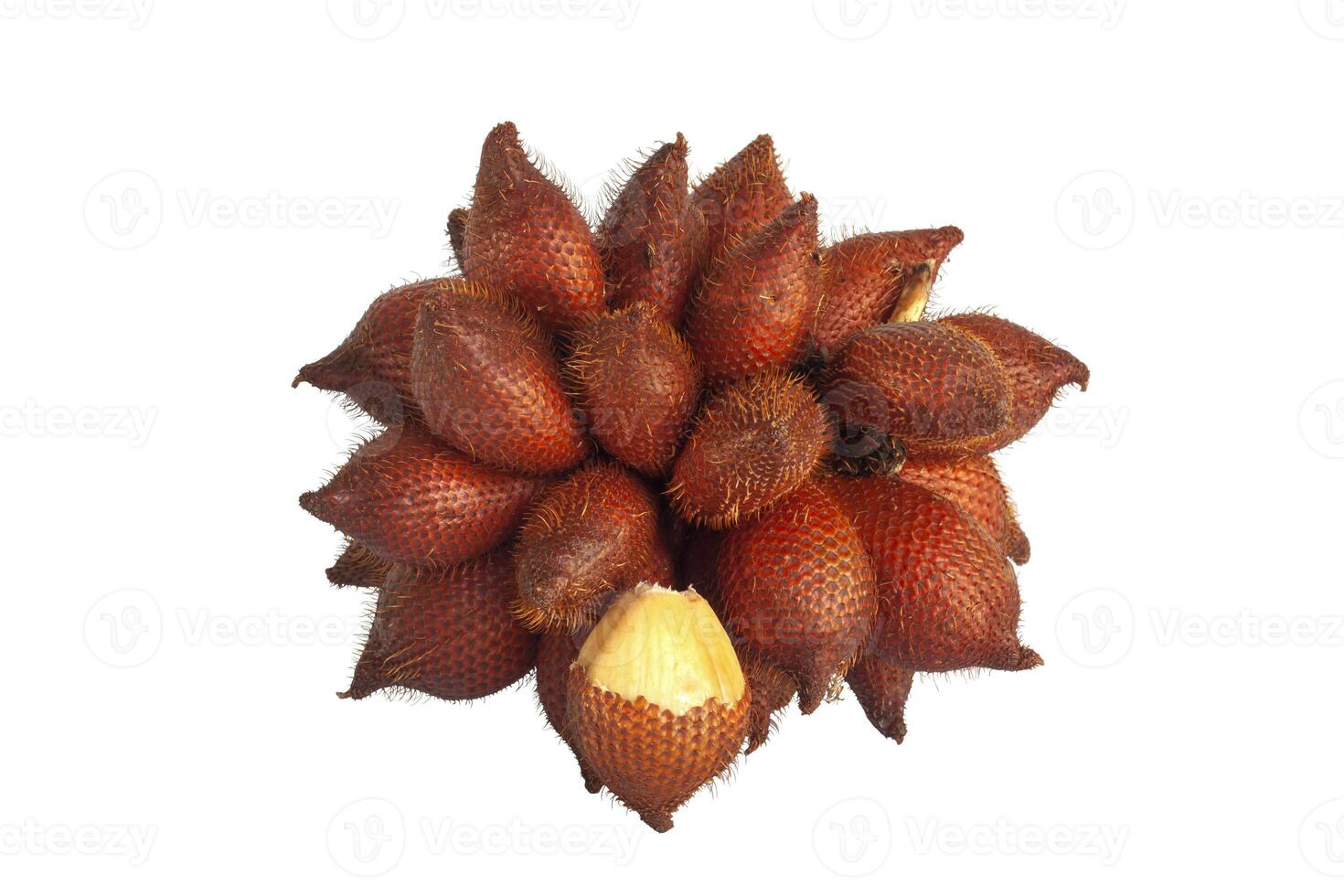 Whole bunch of Salacca zalacca or salak fruit isolated on white background. photo