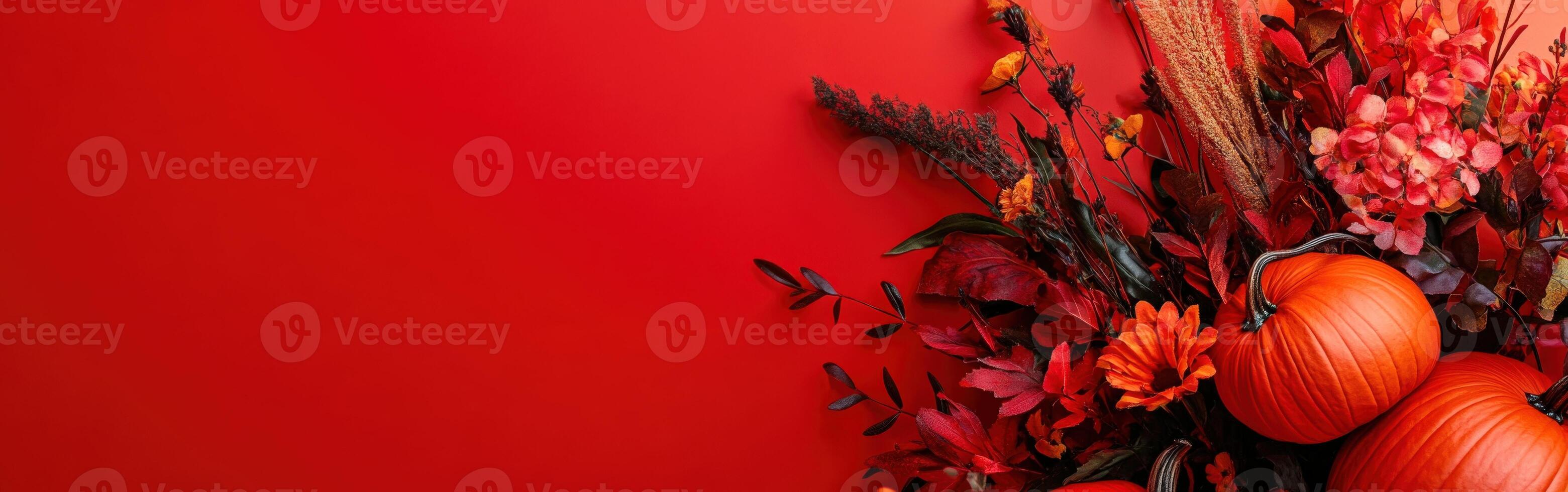 Autumn arrangement of colorful flowers and pumpkins with blank space photo