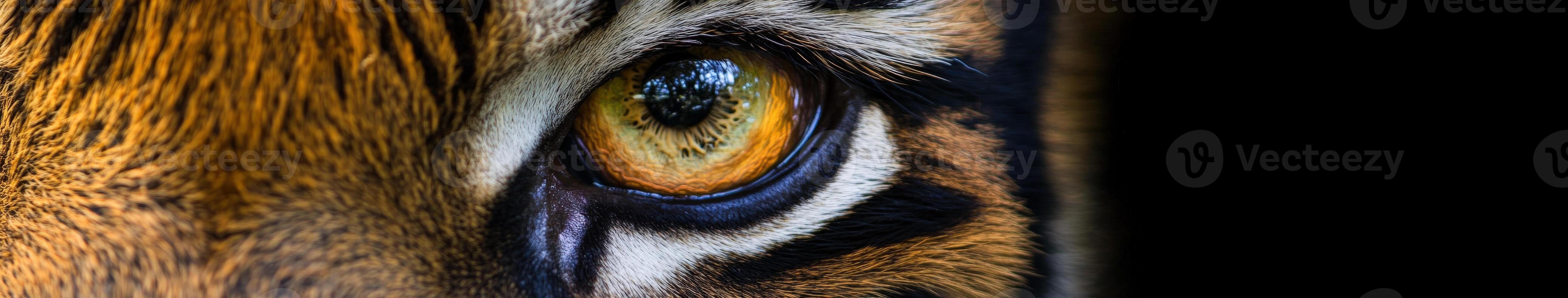Close-up of a tiger's eye showcasing intricate details and vibrant colors photo