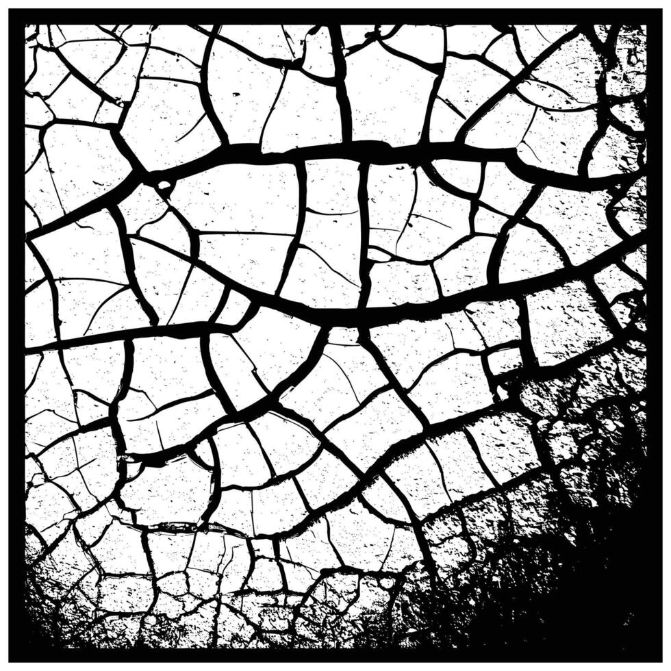 Cracked Texture Background in Black and White vector