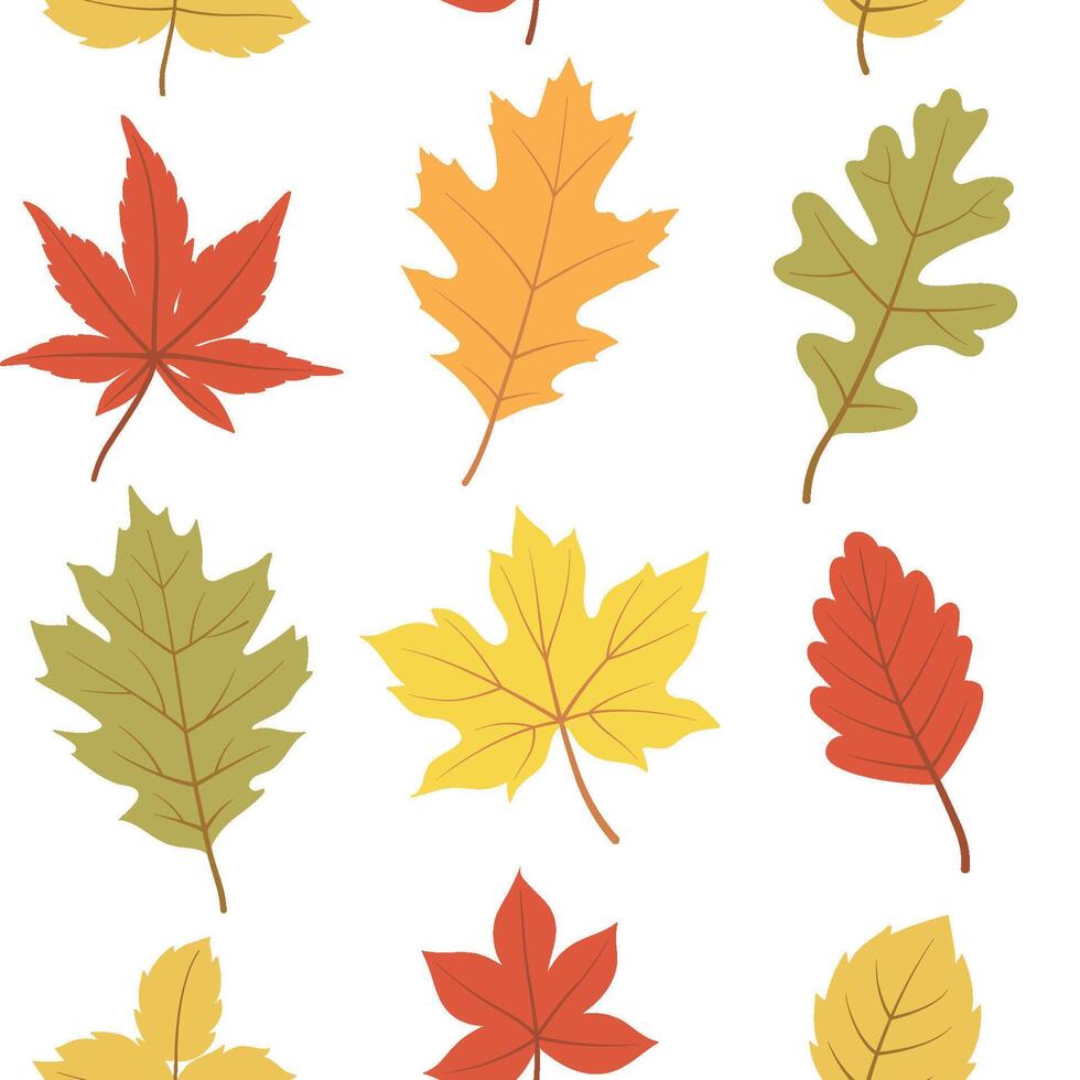 Fall leaves seamless pattern. Autumnal oak, maple, and chestnut leaf. Fall botanical seasonal background for wrapping paper, wallpaper, and fabric. Autumnal foliage print on white background. vector