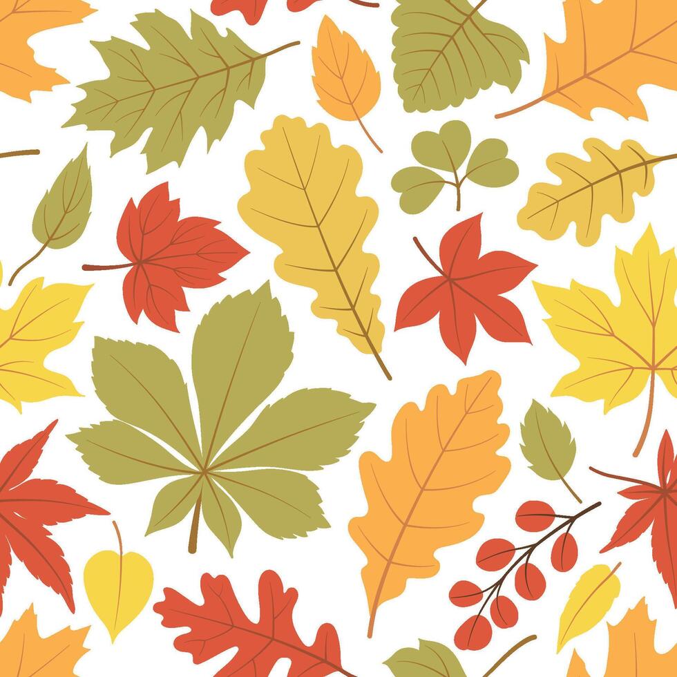 Autumn leaves seamless pattern. Fall oak, maple, and chestnut leaf. Botanical seasonal background for wrapping paper, wallpaper, and fabric. Autumnal foliage print on white background. vector
