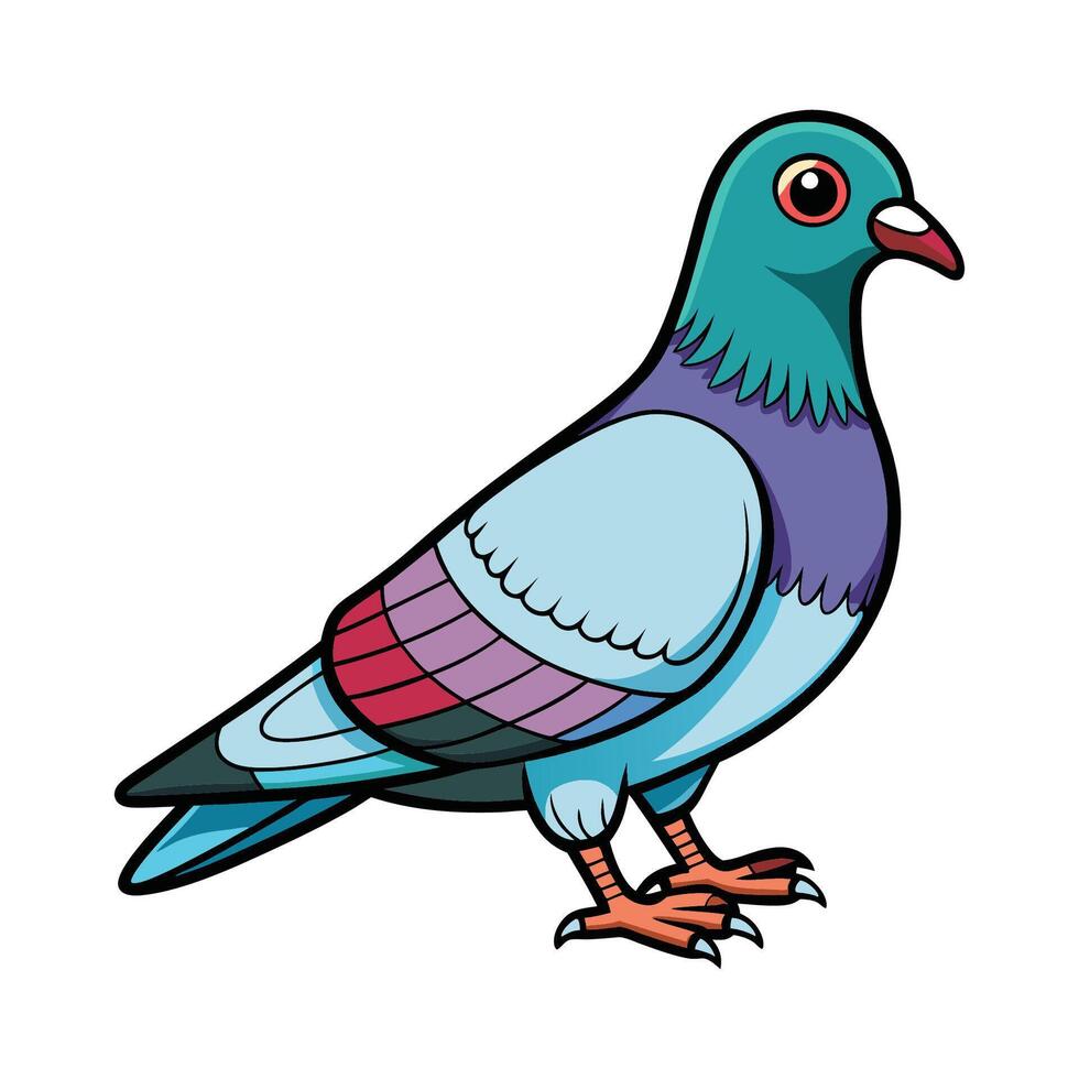 A colorful drawing of a Pigeon bird vector