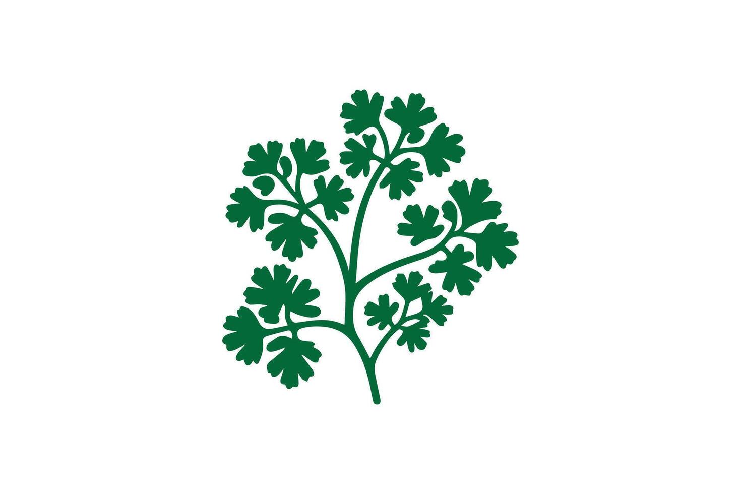 A green plant with leaves on it vector