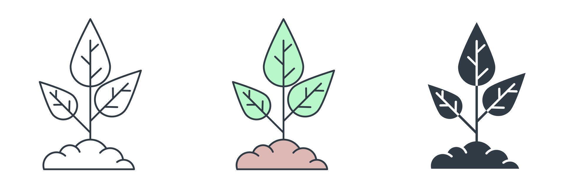 Seedling icon symbol illustration isolated on white background vector