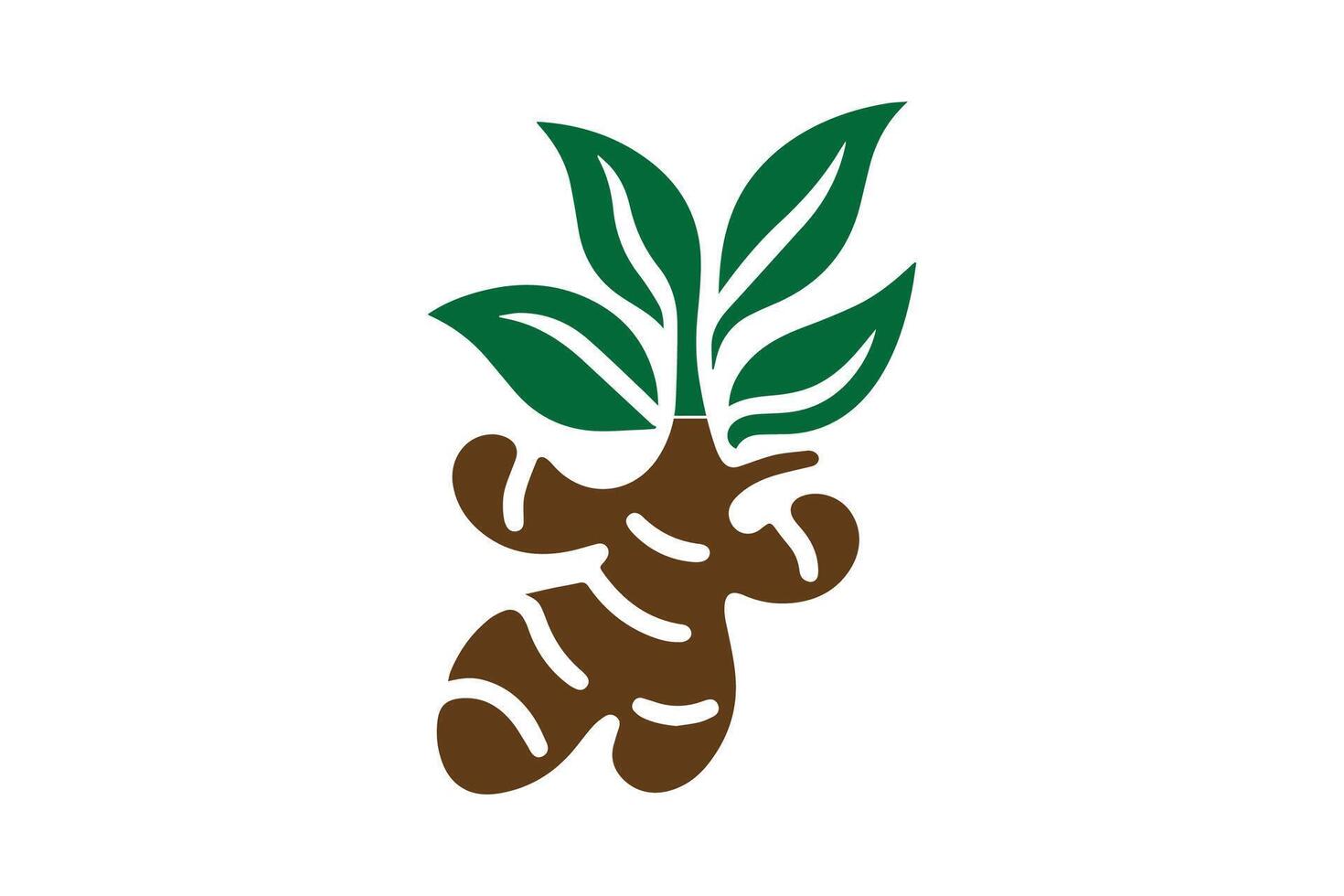 A ginger plant with leaves on it vector