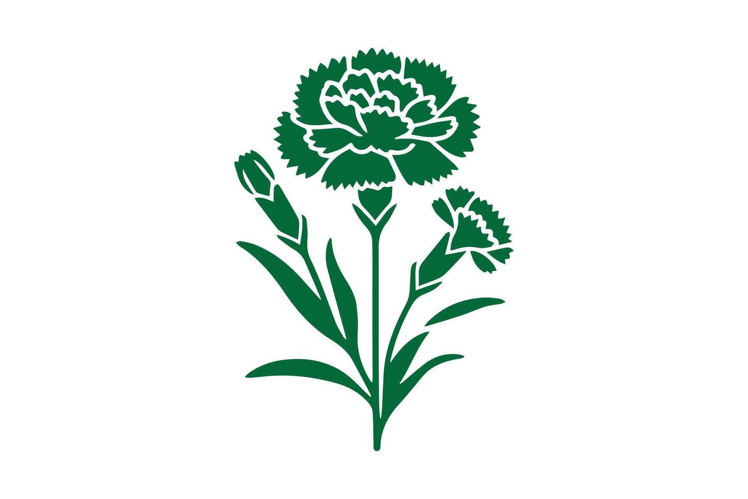 A green carnation flower on a white background vector