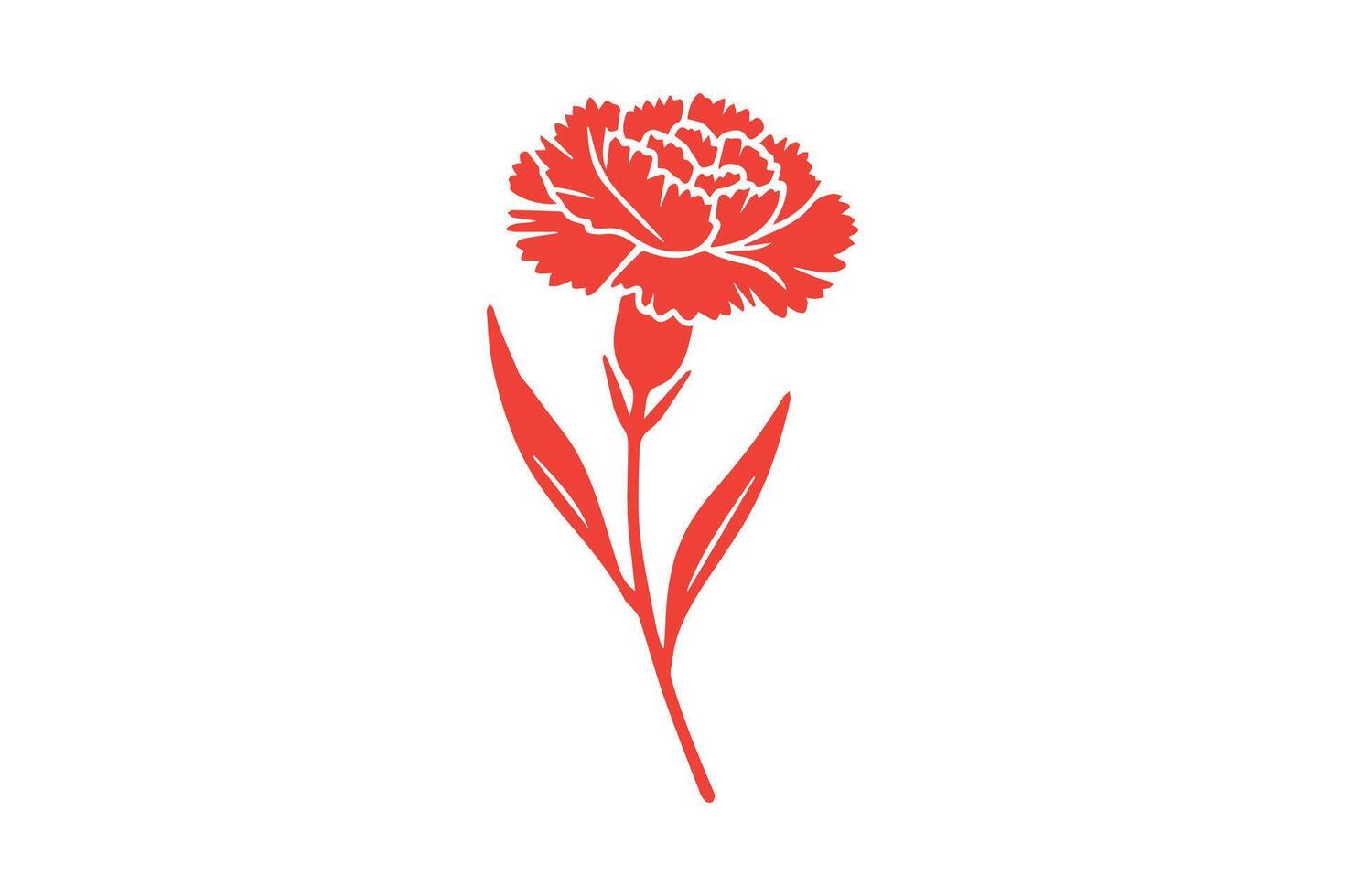 A red carnation flower on a white background vector