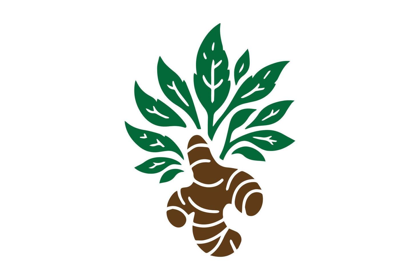 A green and brown ginger root with leaves vector