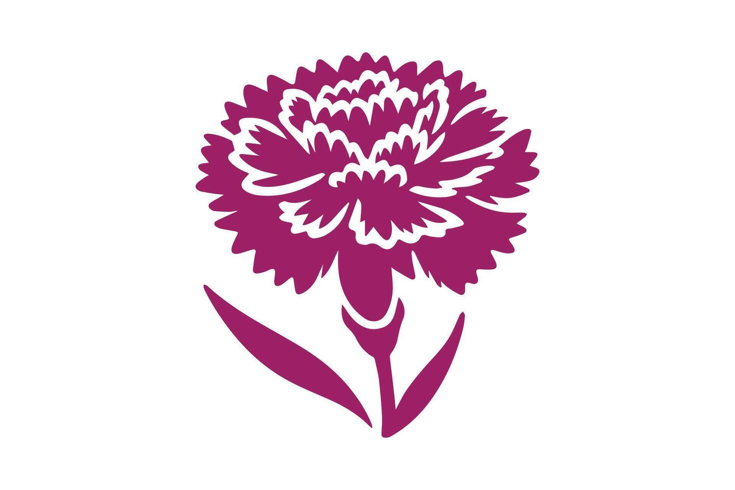 A purple carnation flower on a white background vector