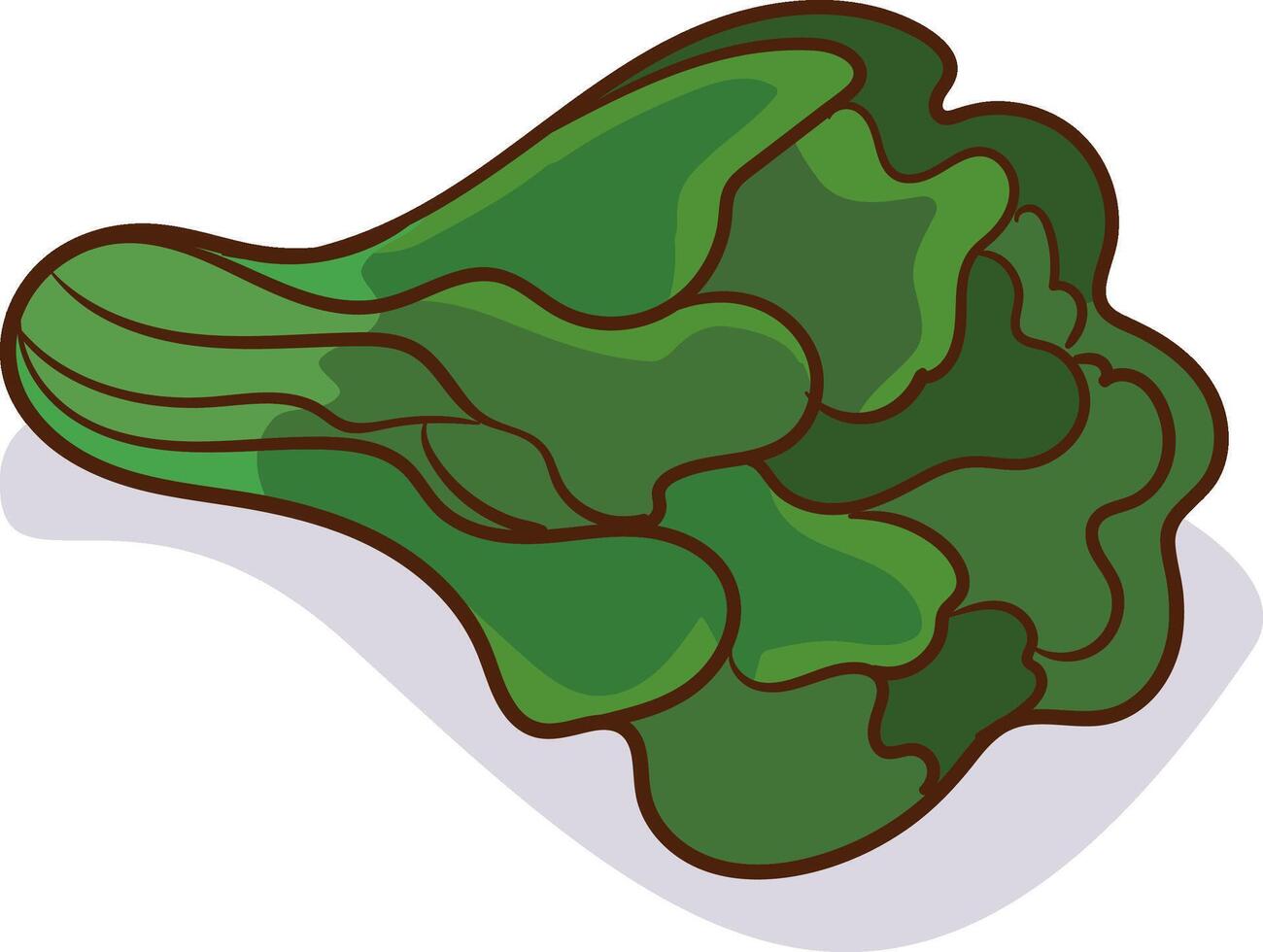 Spinach isolated on white background vector