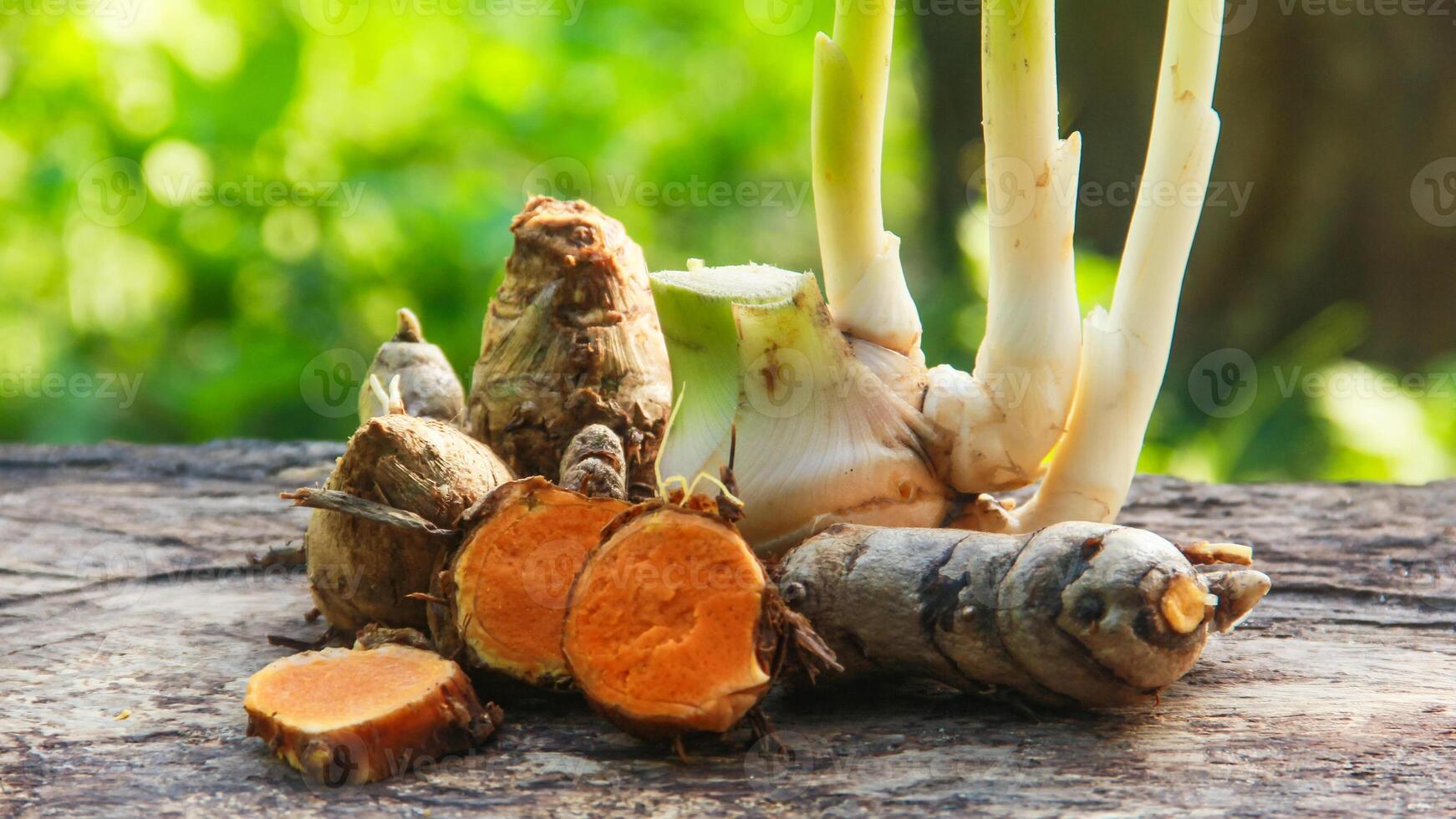 Turmeric or Curcuma longa Linn or rhizome root, a tuber plant that has a distinctive color and aroma photo