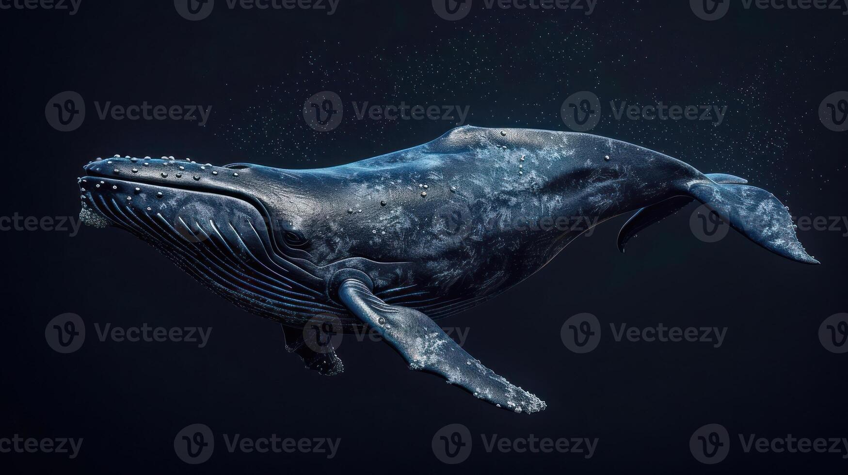 A humpback whale soaring through the air with its mouth wide open, captured mid-flight. photo