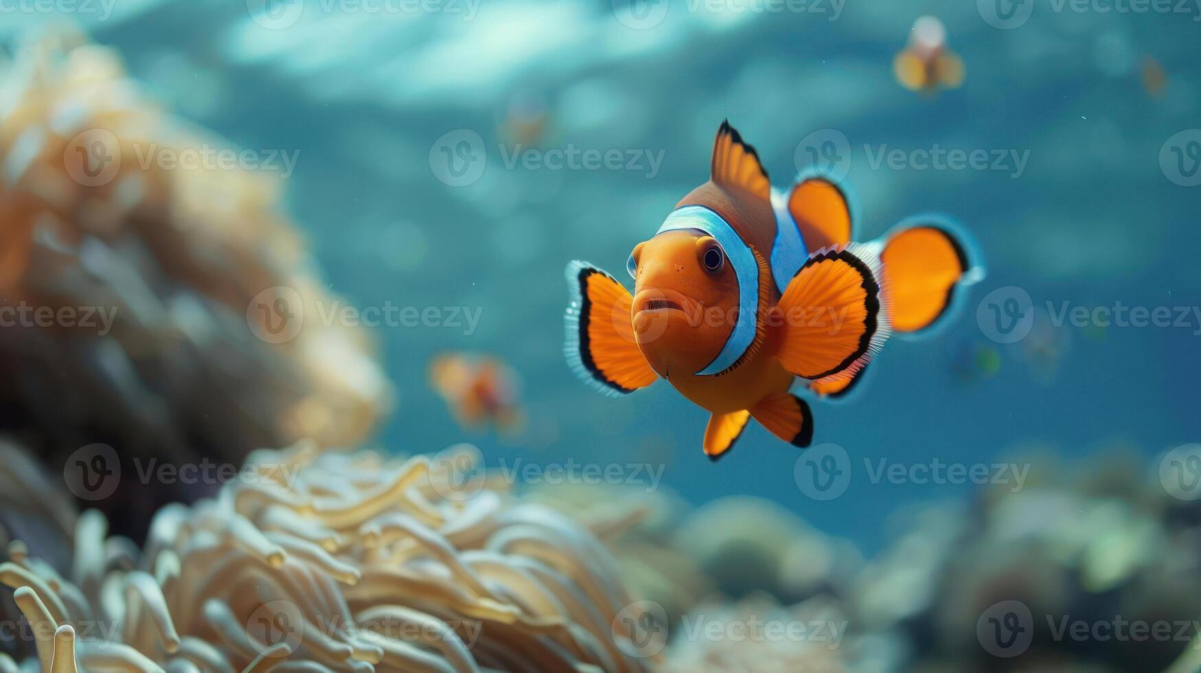 Underwater scene featuring Nemo and his friends in their natural habitat photo