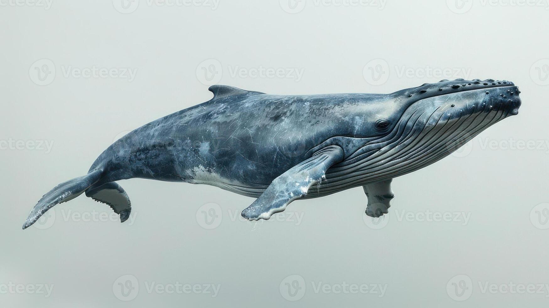 3D model of a whale with visible wake, likely for use in games or simulations. photo