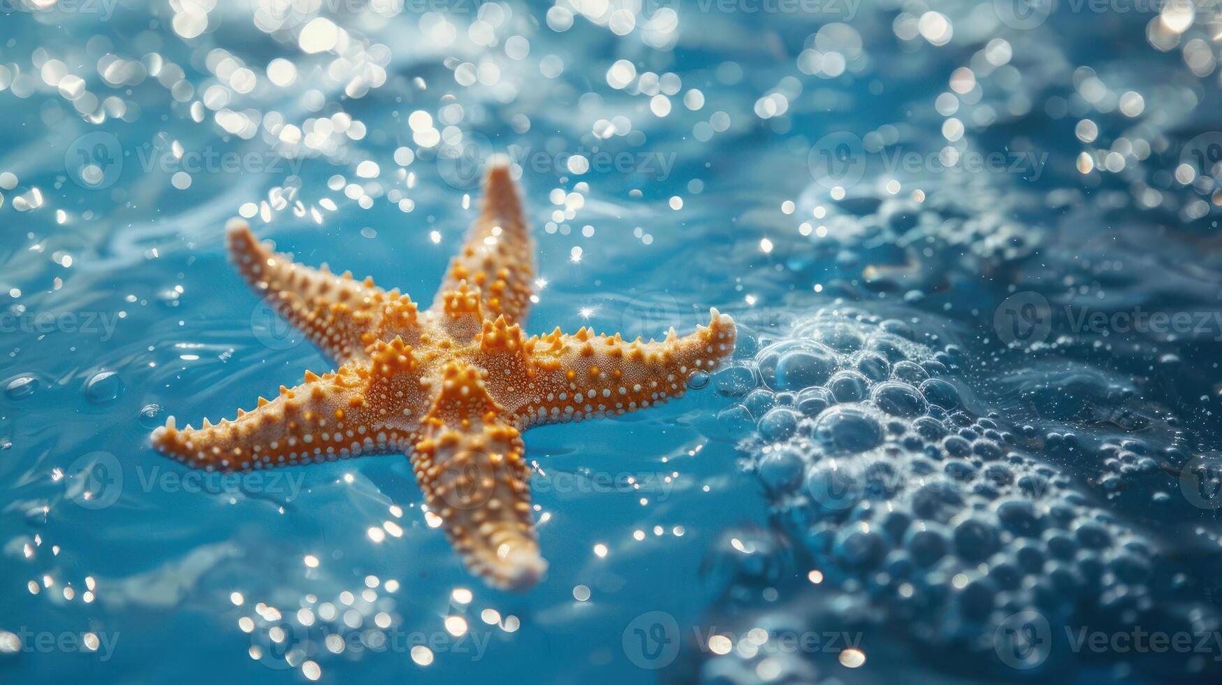 A beautiful seascape with a starfish floating on the ocean surface, photo