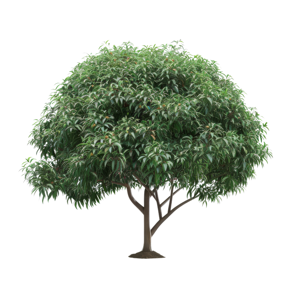 Green Tree Isolated png