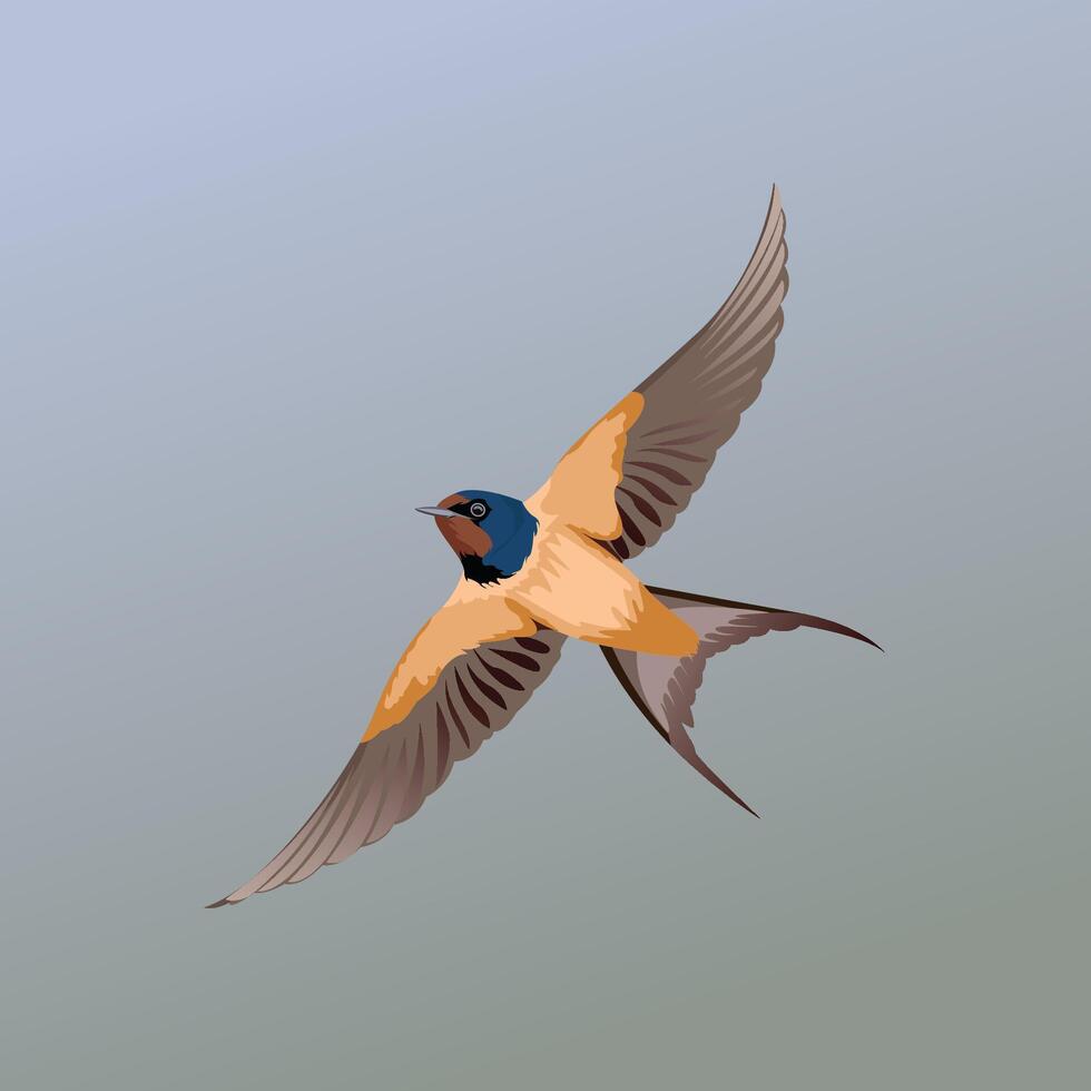 Swallow bird art illustration vector