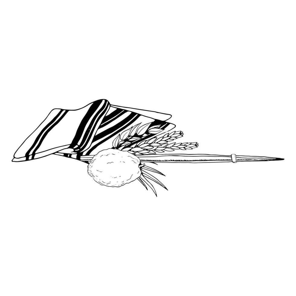 Monochrome Sukkot holiday symbols with Etrog, traditional plants and tallit ink line illustration. Black and white four species willow and myrtle branches, citron fruit, palm frond vector