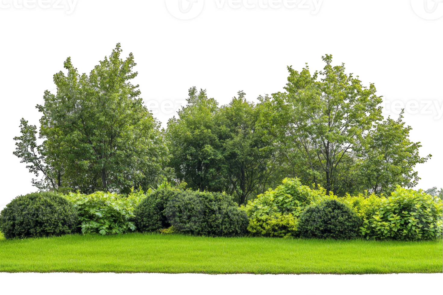 Green Trees and Bushes by a Grassy Meadow png