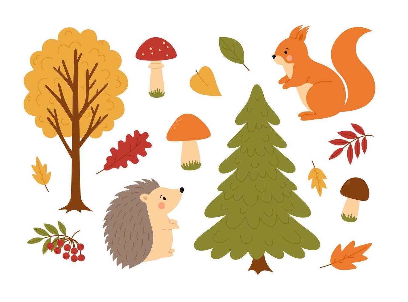 Autumn forest set. Trees, leaves, mushrooms, rowan, squirrel and hedgehog. Woodland plants and animals. Fall season. Flat illustration isolated on white background vector