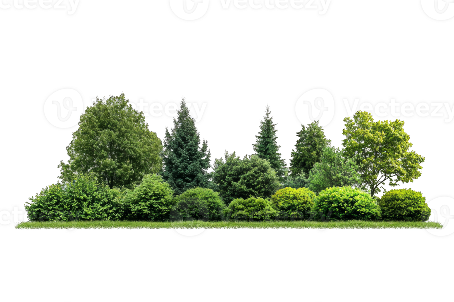 Green Landscape with Lush Trees and Shrubs png