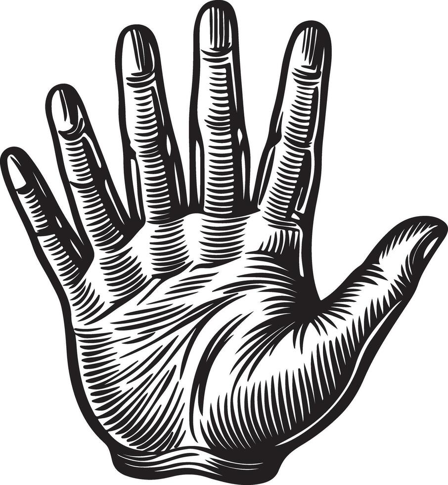 Black silhouettes of Hand isolated on a white background. vector