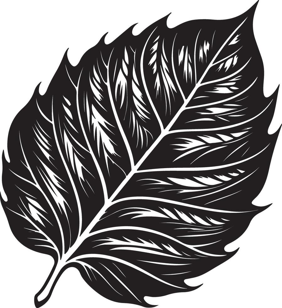 Black silhouettes of Leaf isolated on a white background. vector